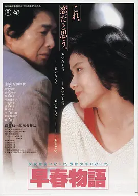 秘书电影暗室笔录高清海报